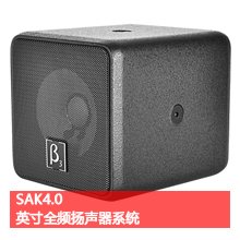 betathree官网贝塔斯瑞音响官网BetathreeSAK4.0 
英寸全频扬声器系统